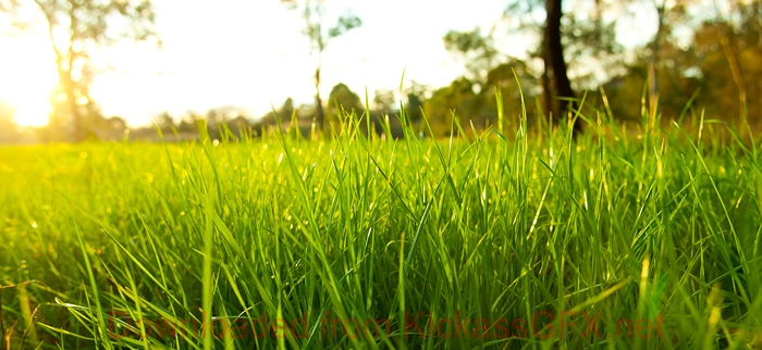 在线手机号轰炸网页版